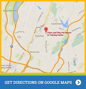Paws and Play Map Location Google