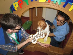 Paws and Play Dedicated Employees and Dog Daycare
