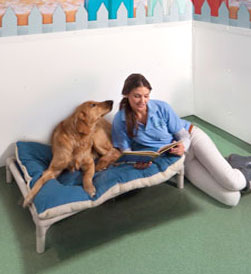 Paws and Play Dog Boarding Story Time 