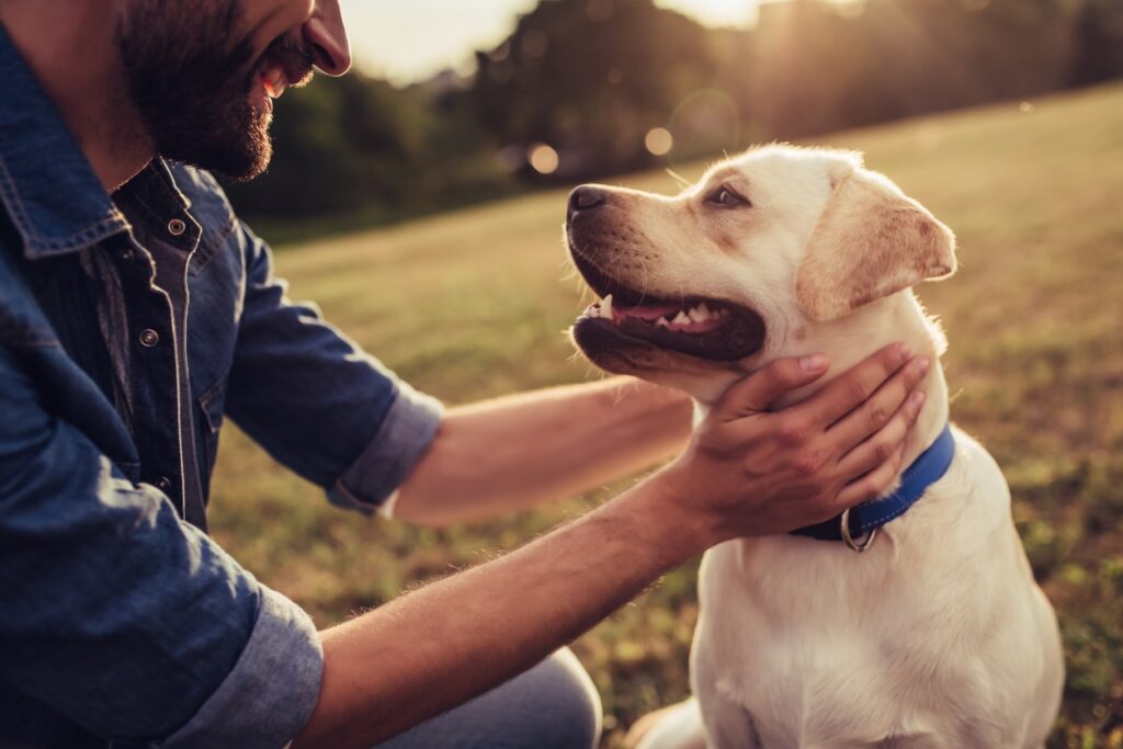 A young man caresses a yellow Labrador for a blog on pet resort personnel.